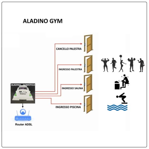 Centralina per Aladino GYM