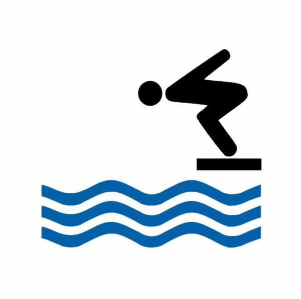 Icona per piscina e centralina domotica